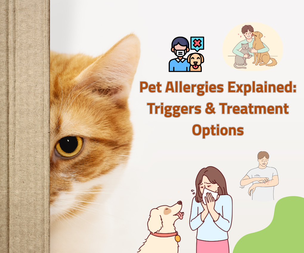 Pet Allergies Explained: Understanding Triggers and Treatment Options